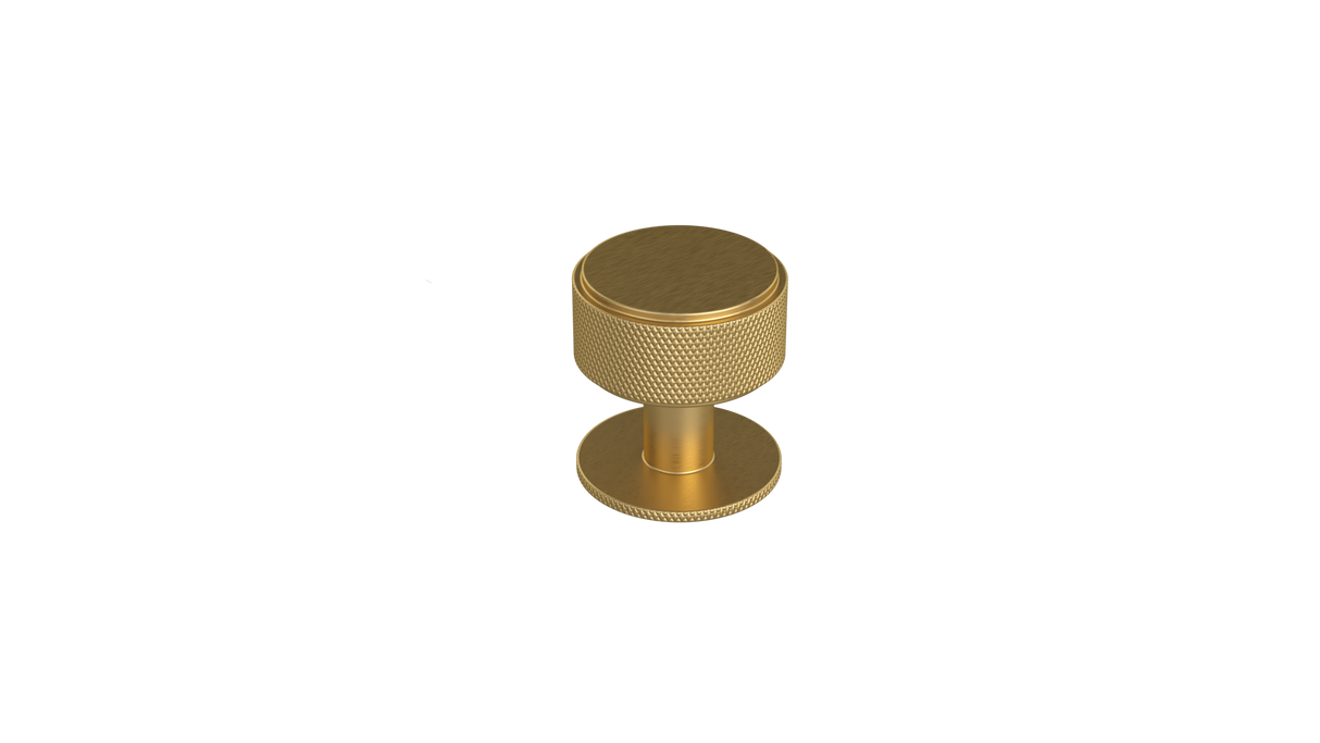 Duke Knob 35mm Brushed Gold Handle