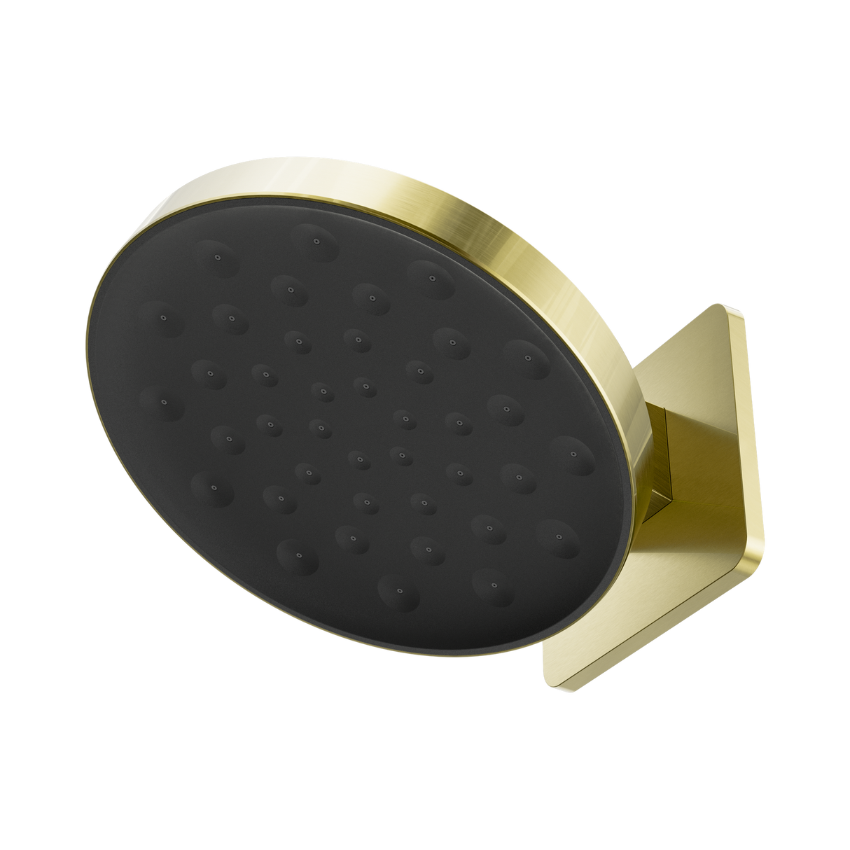 An image of Nero Tapware's Serenity Wall Shower Head Brushed Gold