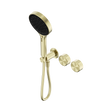 An image of Nero Tapware's Serenity Progressive Shower System With Metal Handle And Serenity Hand Shower Brushed Gold