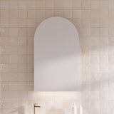 Church Mirror Cabinet 600mm Single Door Platinum Collection (CHU-SC-600-S-P)