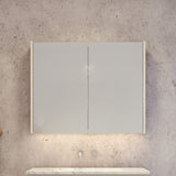 Denver Mirror Cabinet 900mm Double Door Platinum Collection (DEN-SC-900-D-P)