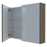 Denver Mirror Cabinet 900mm Double Door Platinum Collection (DEN-SC-900-D-P)