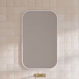 Jazz Arch Frame Mirror 630mm x 1030mm (JZAF-M-630-1030)