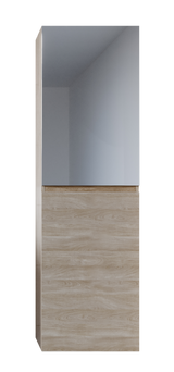 Lincoln Mirror Tallboy 450mm Wall Hung Platinum Collection