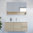 Nevada Vanity 1200mm Centre Bowl Alpha Top Wall hung (NEV-V-1200-C-APH-W)
