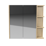 New York Mirror Cabinet 750mm Left Double Door Gold Collection (NEW-SC-750-L-G)