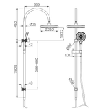 A line drawing of Nero Tapware Opal Twin Shower Brushed Gold