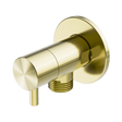 An image of Nero Tapware Mini Cistern Stop Brushed Gold