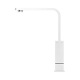 An image of Nero Tapware Celia Kitchen Mixer Builders Range Chrome