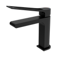 An image of Nero Tapware Bianca Care Basin Mixer Matte Black