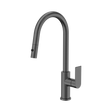 An image of Nero Tapware Bianca Pull Out Sink Mixer With Vegie Spray Function Gun Metal