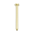 An image of Nero Tapware Zen SS316L Round Ceiling Arm 300mm Length Brushed Gold