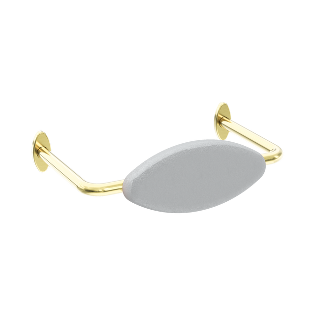 An image of Nero Tapware Mecca Care DDA Accessible Toilet Backrest Brushed Gold