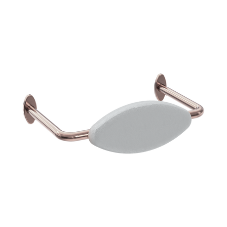 An image of Nero Tapware Mecca Care DDA Accessible Toilet Backrest Brushed Bronze