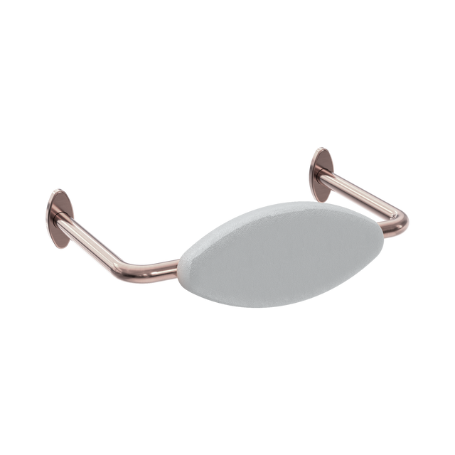 An image of Nero Tapware Mecca Care DDA Accessible Toilet Backrest Brushed Bronze