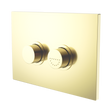 An image of Nero Tapware Mecca Care Raised Disabled Care Pneumatic Flush Buttons Plate DDA Accessible Toilet Compliant Brushed Gold
