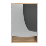 Pure Bliss Mirror Cabinet 600mm Single Door Gold Collection (PBS-SC-600-S-G)