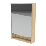 Pure Bliss Mirror Cabinet 600mm Single Door Gold Collection (PBS-SC-600-S-G)