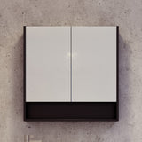 Sanremo Mirror Cabinet 750mm Double Door Platinum Collection (SAN-SC-750-D-P)